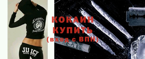 индика Бородино