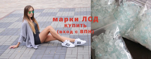 индика Бородино