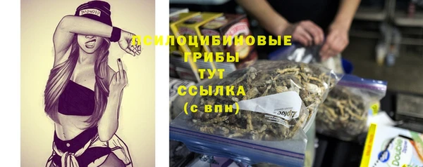 прущие грибы Бронницы