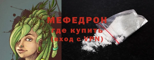 индика Бородино