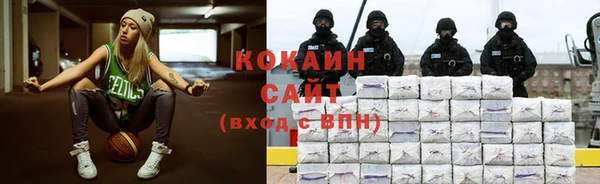 индика Бородино