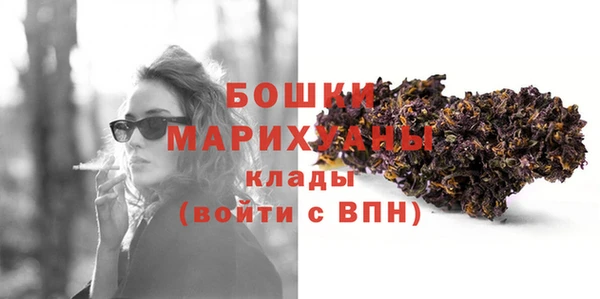 индика Бородино