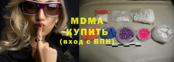 индика Бородино