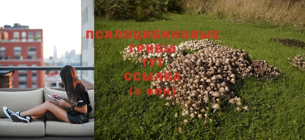 ALPHA PVP Кедровый