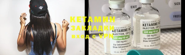 прущие грибы Бронницы