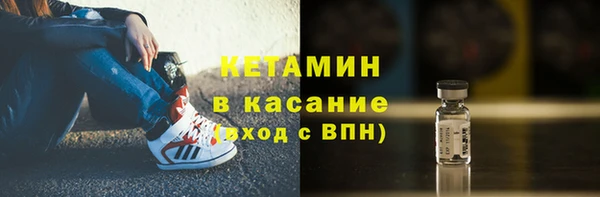 прущие грибы Бронницы