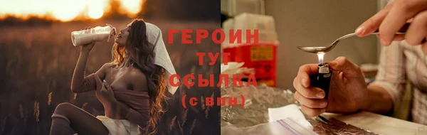 индика Бородино