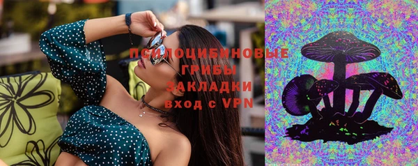 индика Бородино
