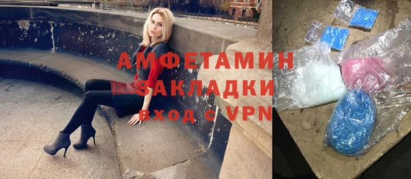 индика Бородино