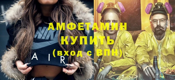 индика Бородино