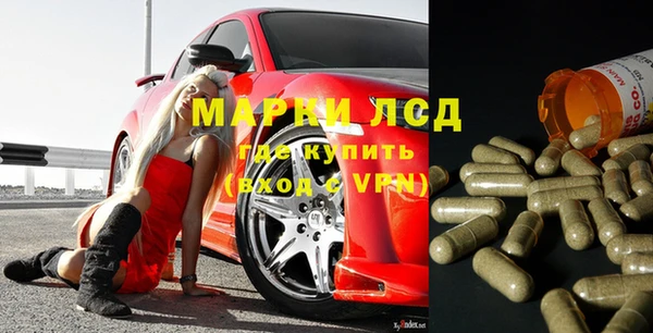 прущие грибы Бронницы