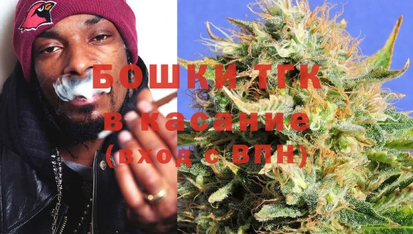 индика Бородино