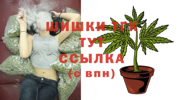 прущие грибы Бронницы