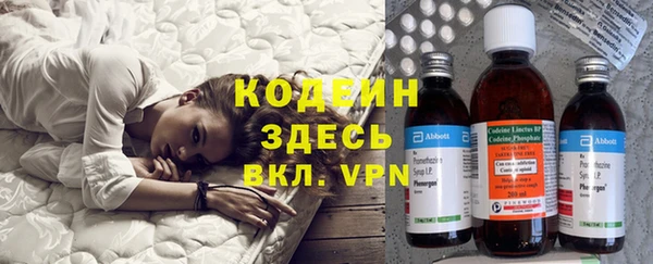 индика Бородино