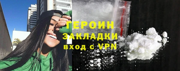 индика Бородино