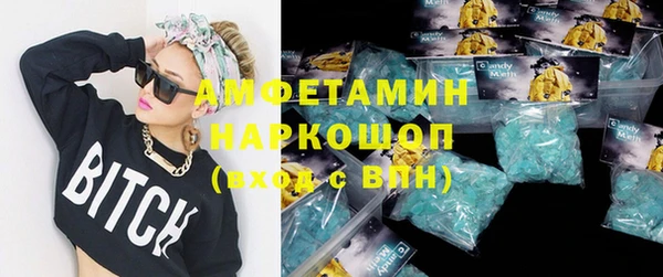 прущие грибы Бронницы
