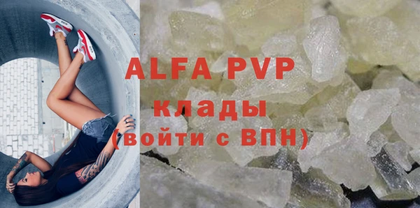 индика Бородино