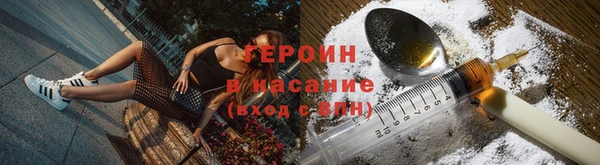 прущие грибы Бронницы