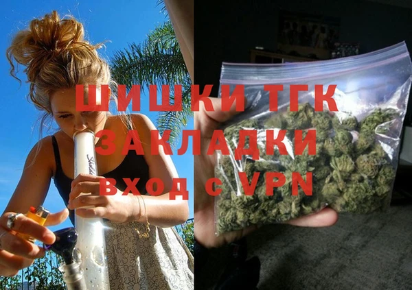 индика Бородино