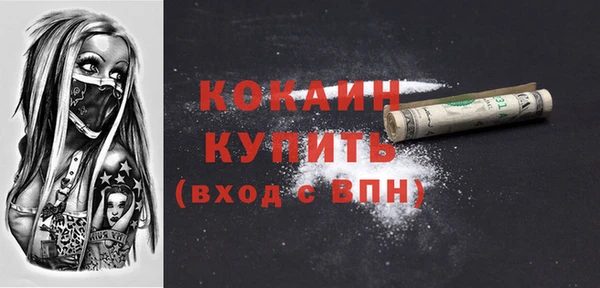 индика Бородино