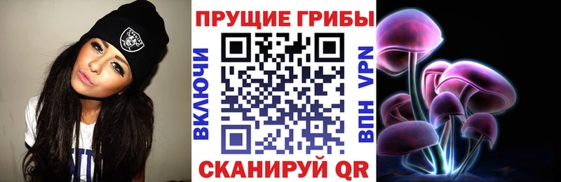 где купить наркоту  ссылка на мегу ссылки  Галлюциногенные грибы прущие грибы  Кизел 